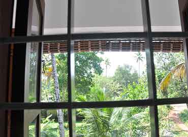 Homestay greenary view kattoor